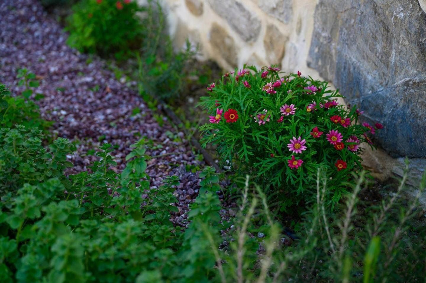 Physis Country House Near Matala Beach & Faistos Kouses Exteriér fotografie
